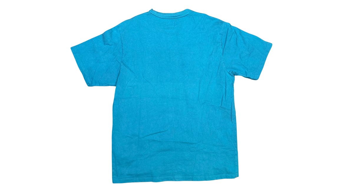 fallback text for an image