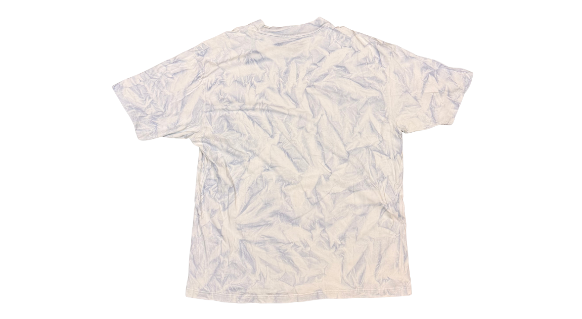 fallback text for an image