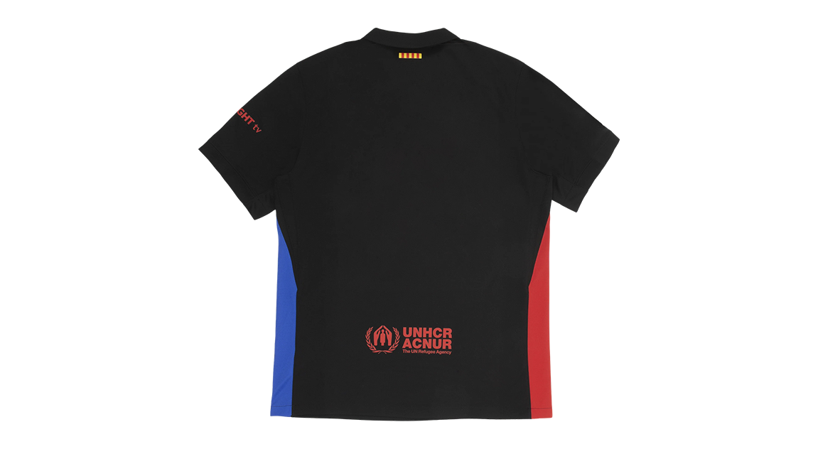 fallback text for an image