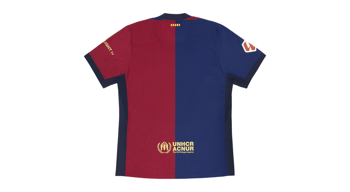 fallback text for an image