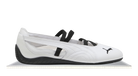 fallback text for an image