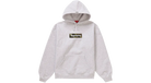 fallback text for an image