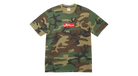 fallback text for an image