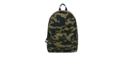 fallback text for an image