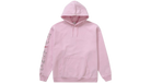 fallback text for an image
