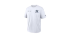 fallback text for an image