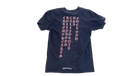 fallback text for an image