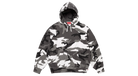 fallback text for an image