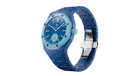 fallback text for an image