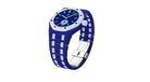 fallback text for an image