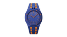 fallback text for an image