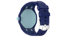 fallback text for an image