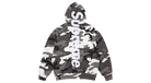 fallback text for an image