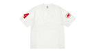 fallback text for an image