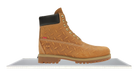fallback text for an image