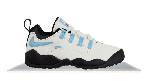 Supreme Rodman Air Darwin Nike SB Darwin Low Supreme Sail