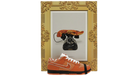 fallback text for an image