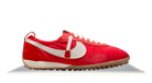 fallback text for an image