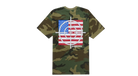 fallback text for an image
