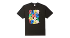 fallback text for an image