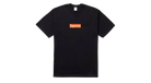 fallback text for an image