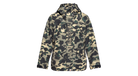 fallback text for an image