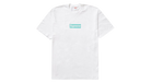fallback text for an image