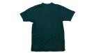 fallback text for an image