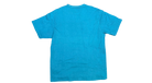 fallback text for an image