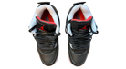 fallback text for an image