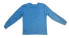 fallback text for an image