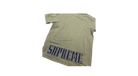 fallback text for an image