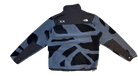 fallback text for an image