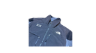 fallback text for an image