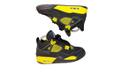 fallback text for an image