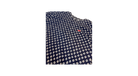 fallback text for an image