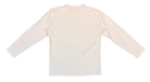 fallback text for an image