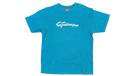 fallback text for an image