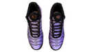 fallback text for an image