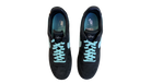 fallback text for an image