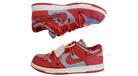 fallback text for an image