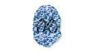 fallback text for an image