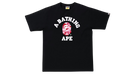 fallback text for an image