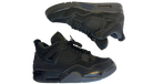 fallback text for an image