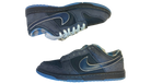 fallback text for an image