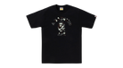 fallback text for an image