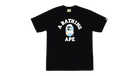 fallback text for an image