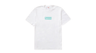 fallback text for an image