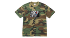 fallback text for an image
