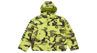 fallback text for an image